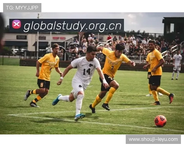 乐鱼体育官网网页版安全可靠，提供多样化的体育赛事直播与投注体验