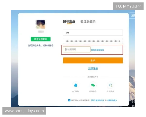 乐鱼在线登录平台官网提供忘记密码恢复与账户安全保障措施