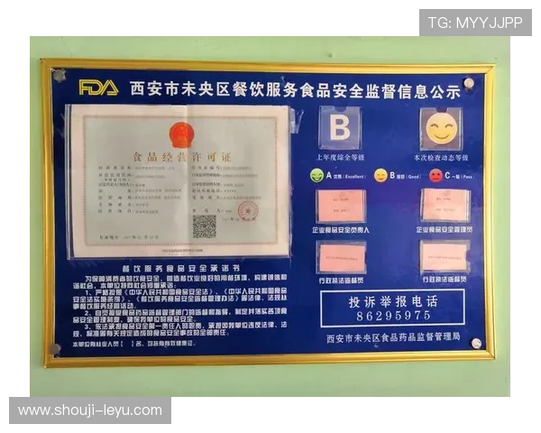 乐鱼注册网页版安全保障措施,确保用户信息安全与注册顺利进行 乐鱼注册网页版安全保障措施,确保用户信息安全与注册顺利进行