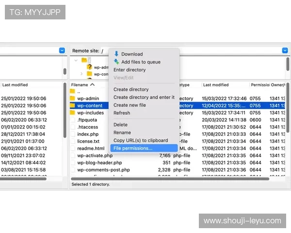乐鱼客户端首页无法打开的常见问题及其高效修复指南