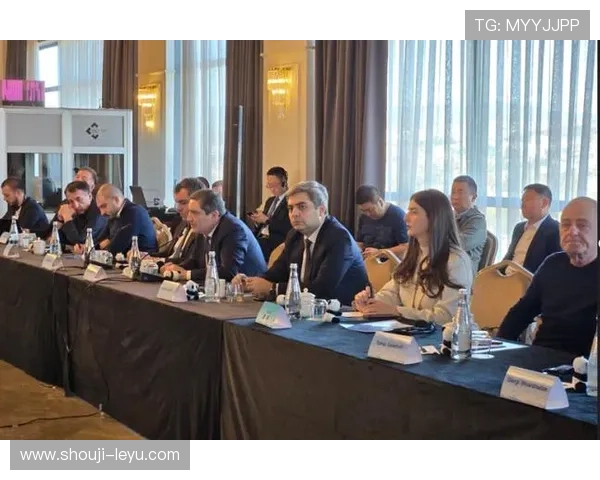 乐鱼意甲全球赞助商合作对提升企业国际竞争力的具体实践与成效