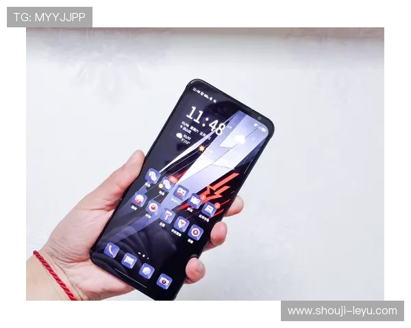 乐鱼手机登录教程详解帮助玩家快速顺利进入游戏体验