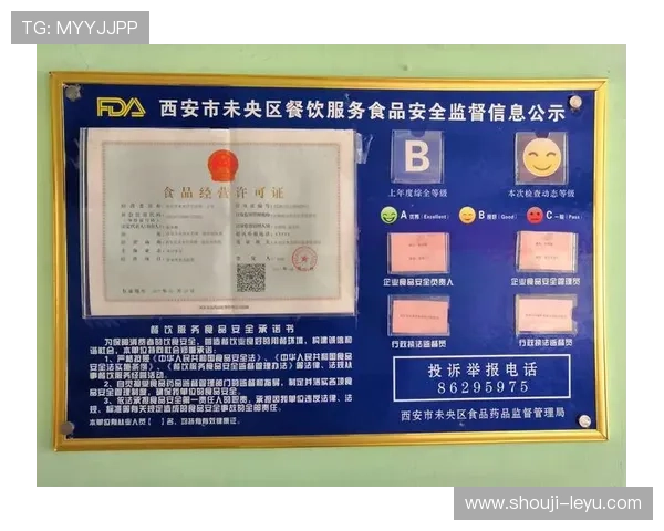 乐鱼网页版官网登录安全保障措施解析确保玩家账号信息安全