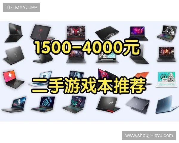 乐鱼网页登录入口全面指南帮助玩家轻松登录享受优质游戏体验